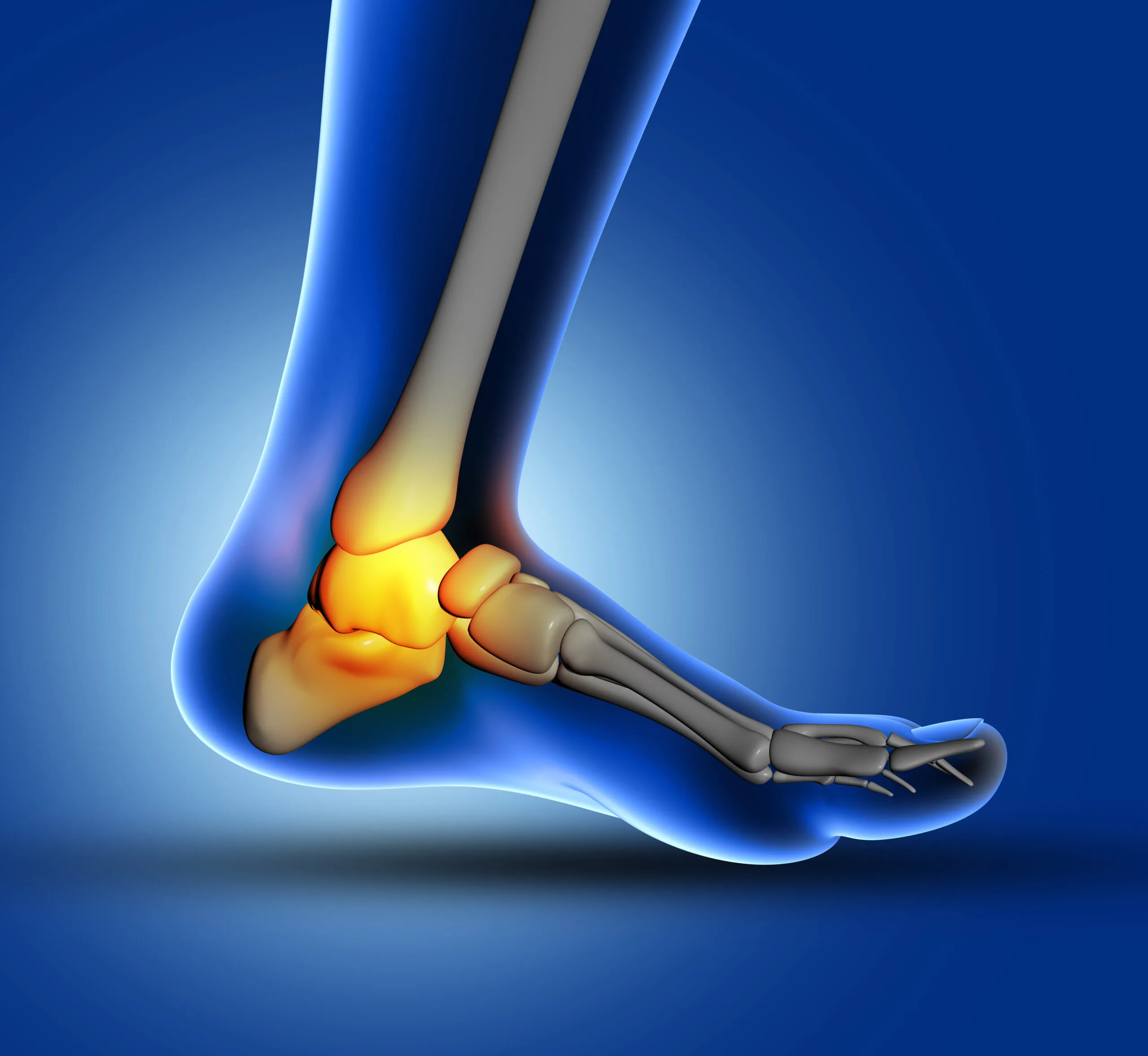 Orthopedic-Rehabilitation-services